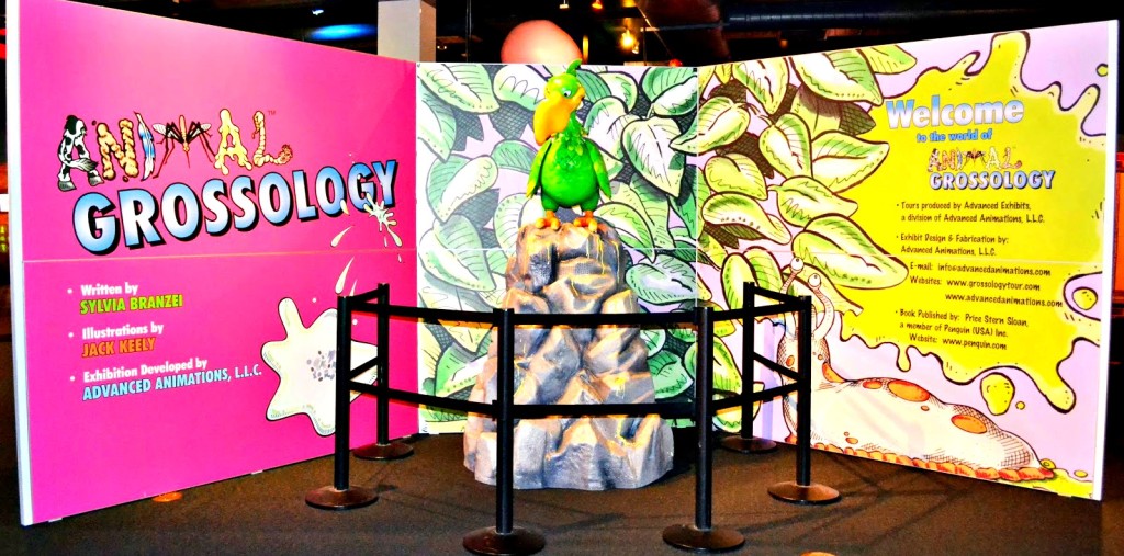 DSC Animal Grossology Entrance