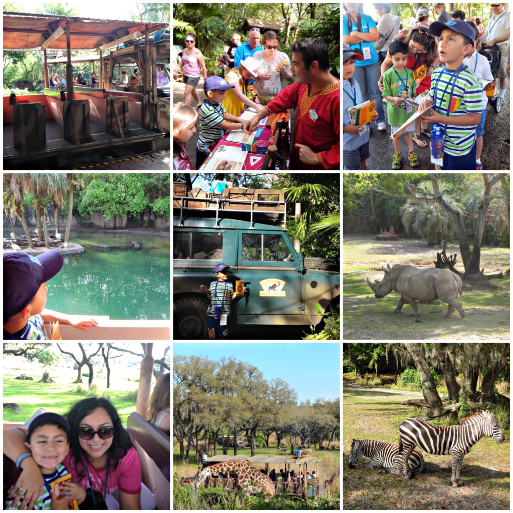 Kilimanjaro Safaris