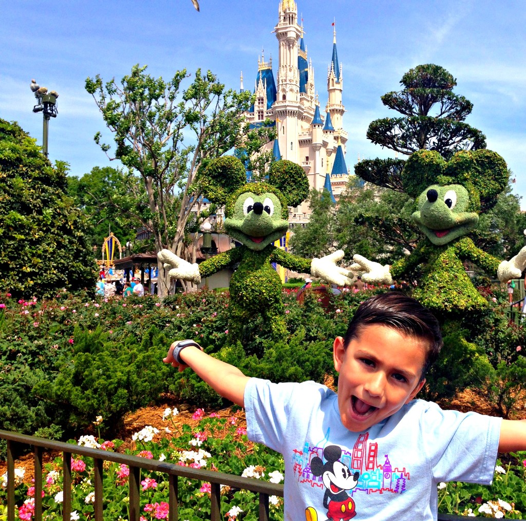 Walt Disney World