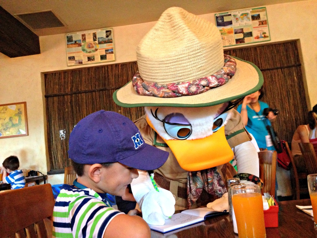 Walt Disney World