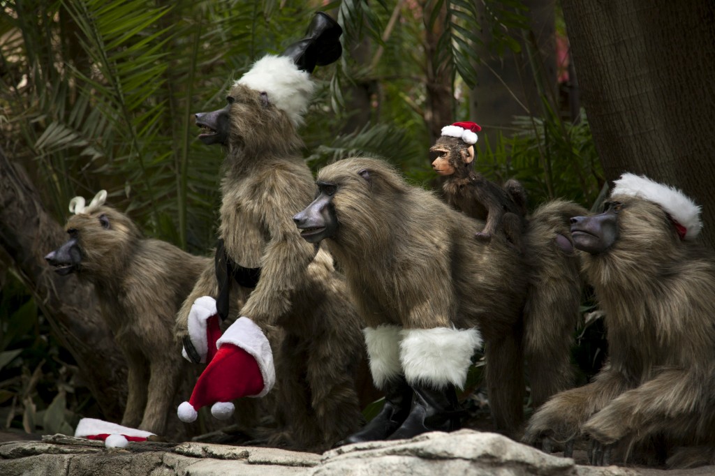 Holiday, DisneyHolidays, holidays, Jingle Cruise, monkey, baboon, hat, Santa, boots