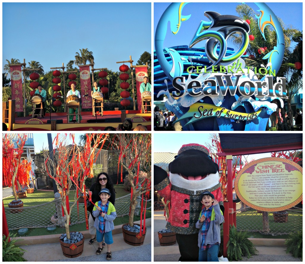 50 Aniversario de SeaWorld