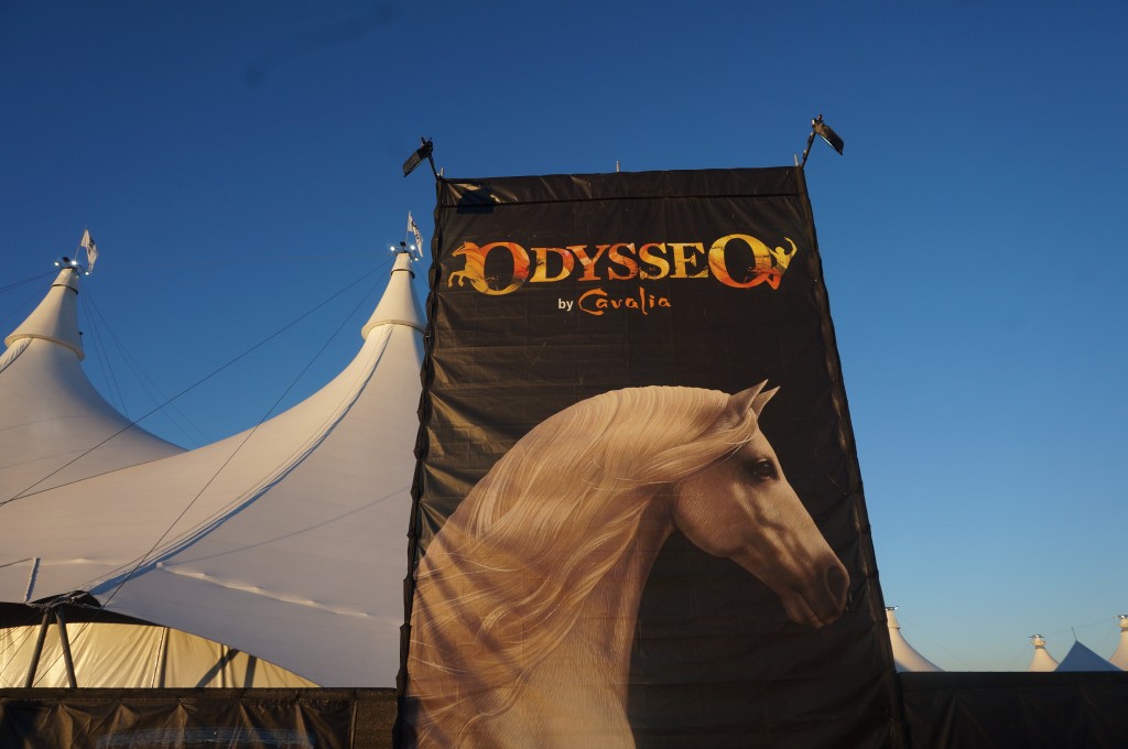 Odysseo