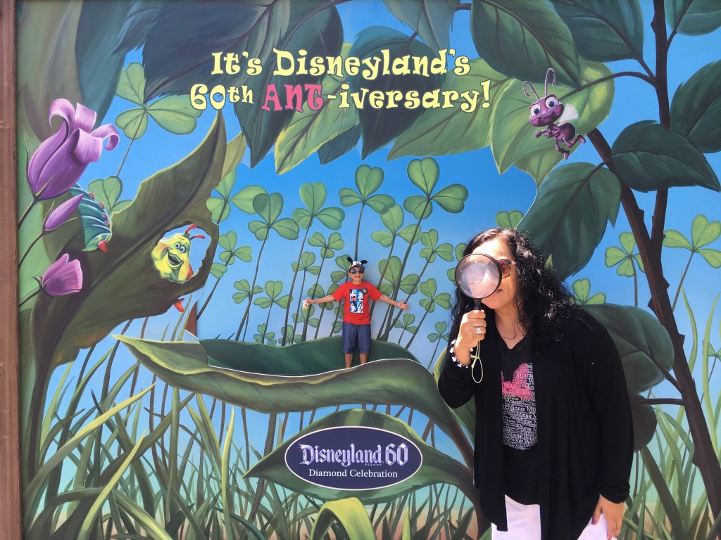 Disneyland 60