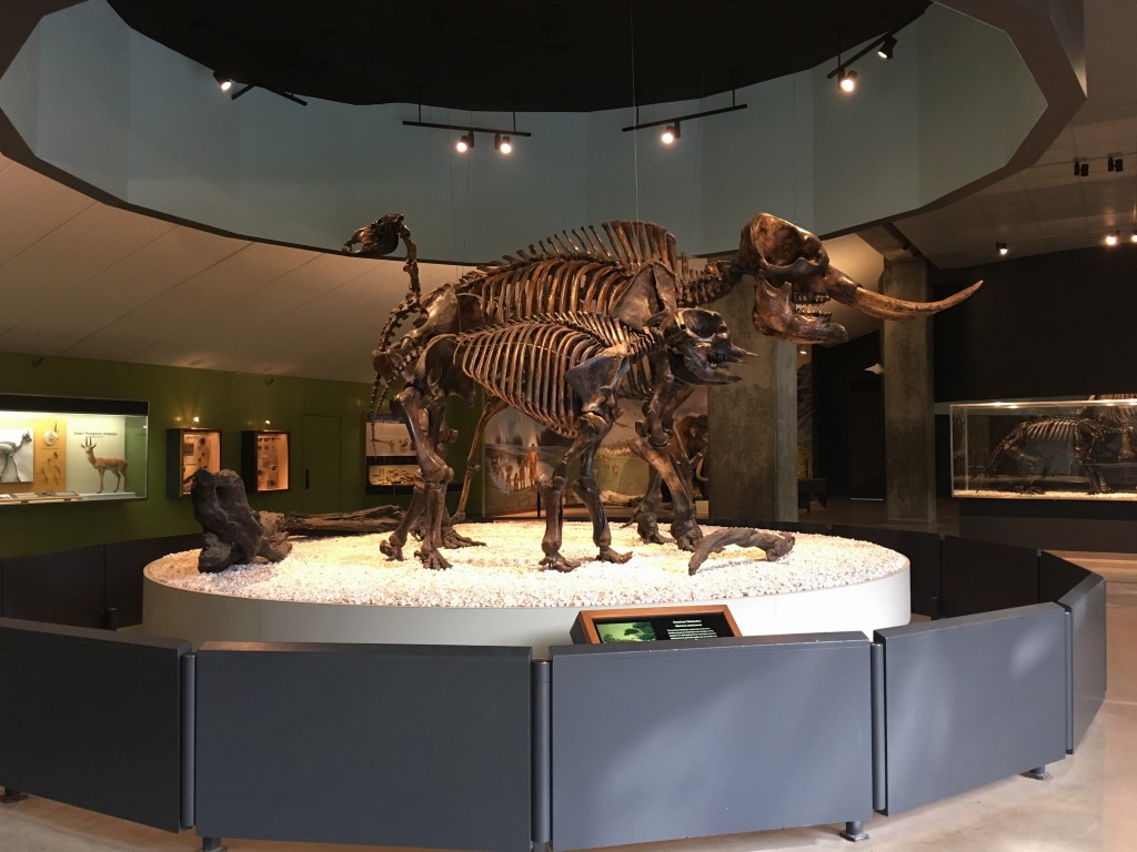 Museo La Brea Tar Pits