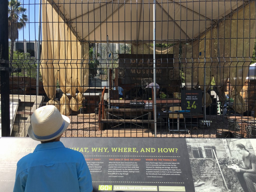 Areas de excavación de La Brea Tar Pits