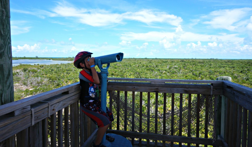 -Mirador Castaway Cay