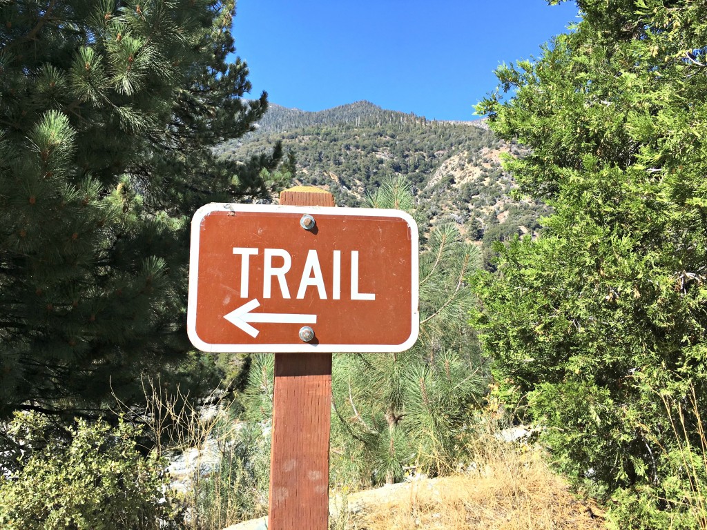 Trail Forest Falls