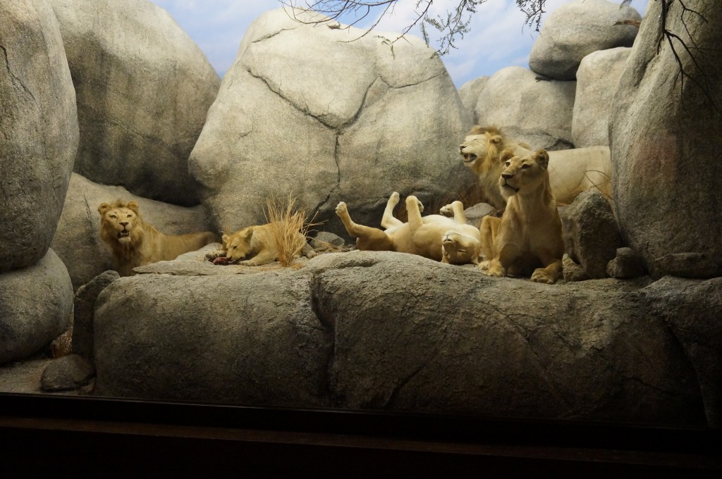 Museo de Historia Natural de Los Angeles