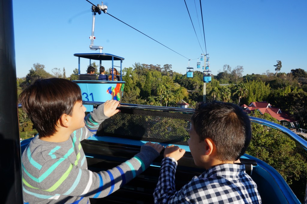 La vista aérea del Zoológico de San Diego 