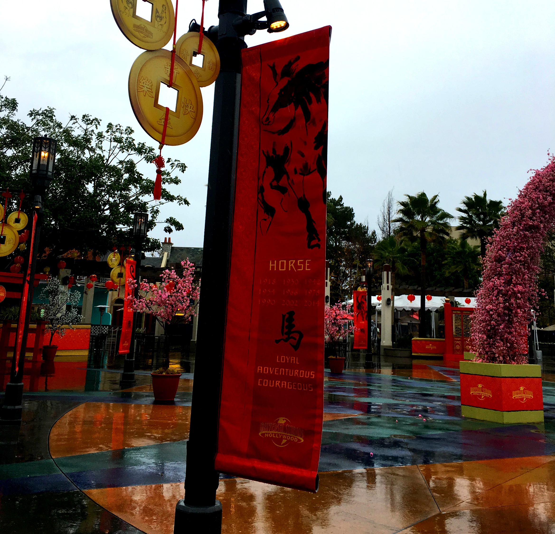 My Image 11
