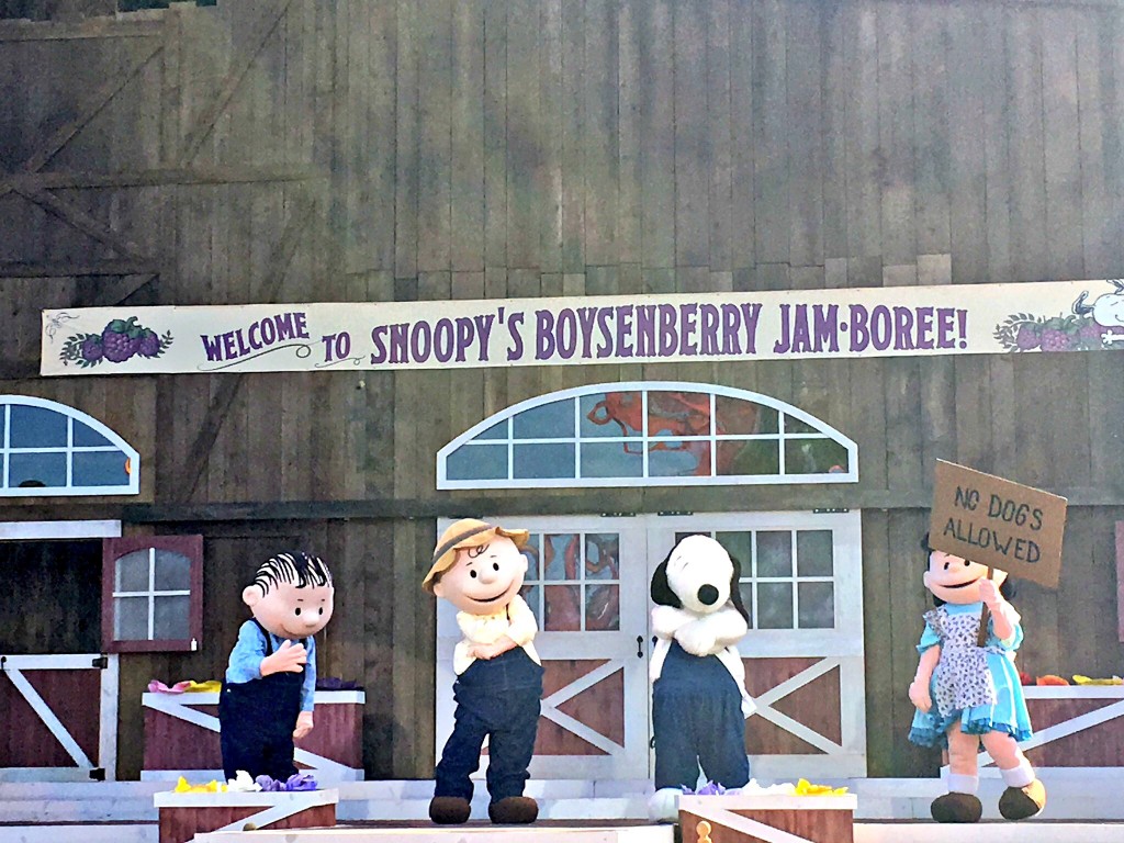 Snoopy celebra Boysenberry Festival