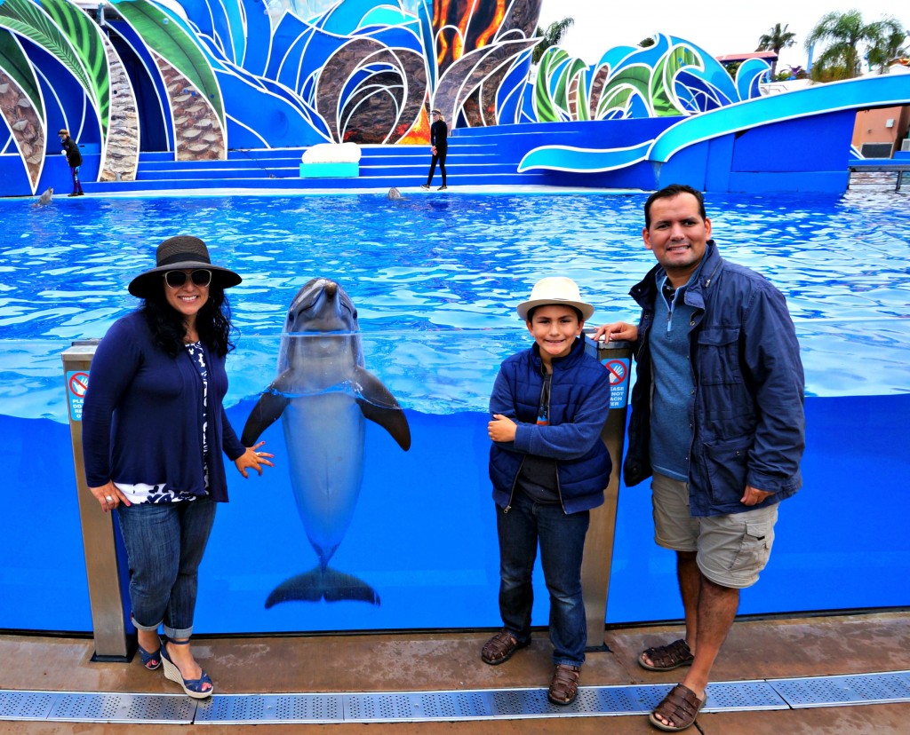 experiecia-con-los-delfines-en-sea-world-san-diego