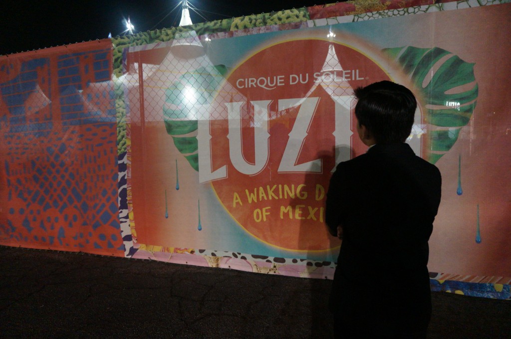 Cirque Du Soleil LUZIA