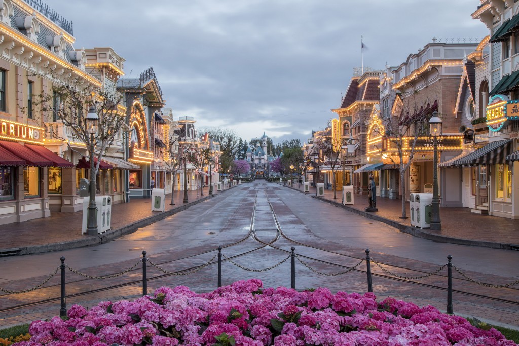 NEW BRICKWORK FOR HORSE-DRAWN STREETCAR TRACK ON MAIN STREET, U.S.A. (ANAHEIM, Calif.) - Main Street, U.S.A. at Disneyland Park has a new look with bricks lining the street for the new horse-drawn streetcar track. Guests can enjoy the beautiful enhancements while strolling down the iconic thoroughfare or riding aboard Main Street, U.S.A. vehicles. This is the first time the horse-drawn streetcar track has been replaced in its entirety.