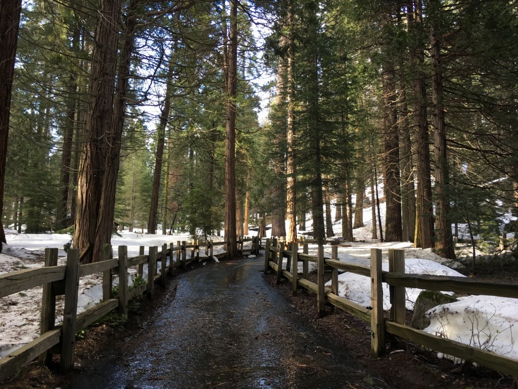 Sequoia and Kings Canyon National Parks