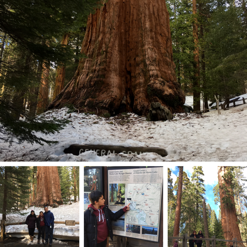 Sequoia and Kings Canyon National Parks