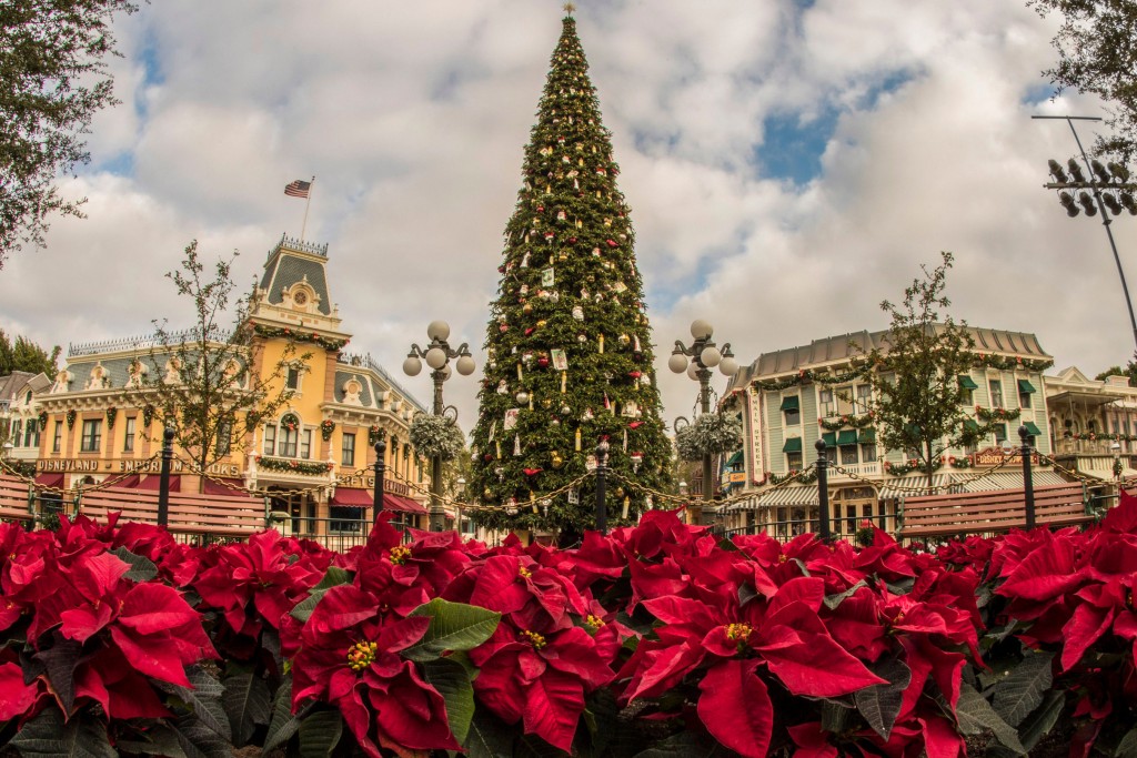 Disneyland Resort Cast Members Transform Parks for the Holidays