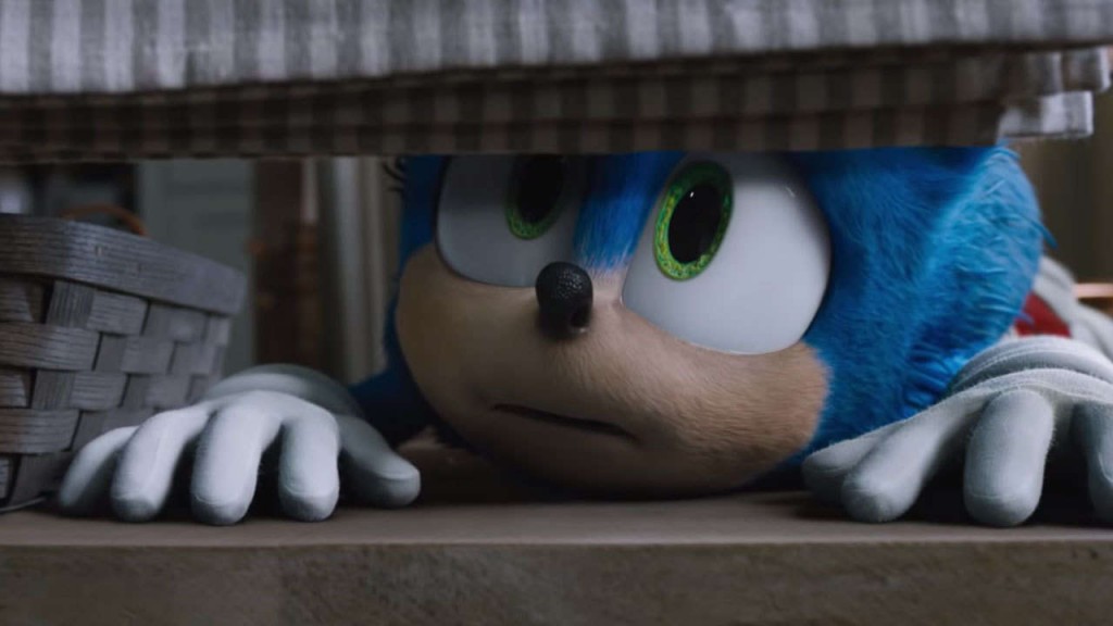 Sonic the hedgehog