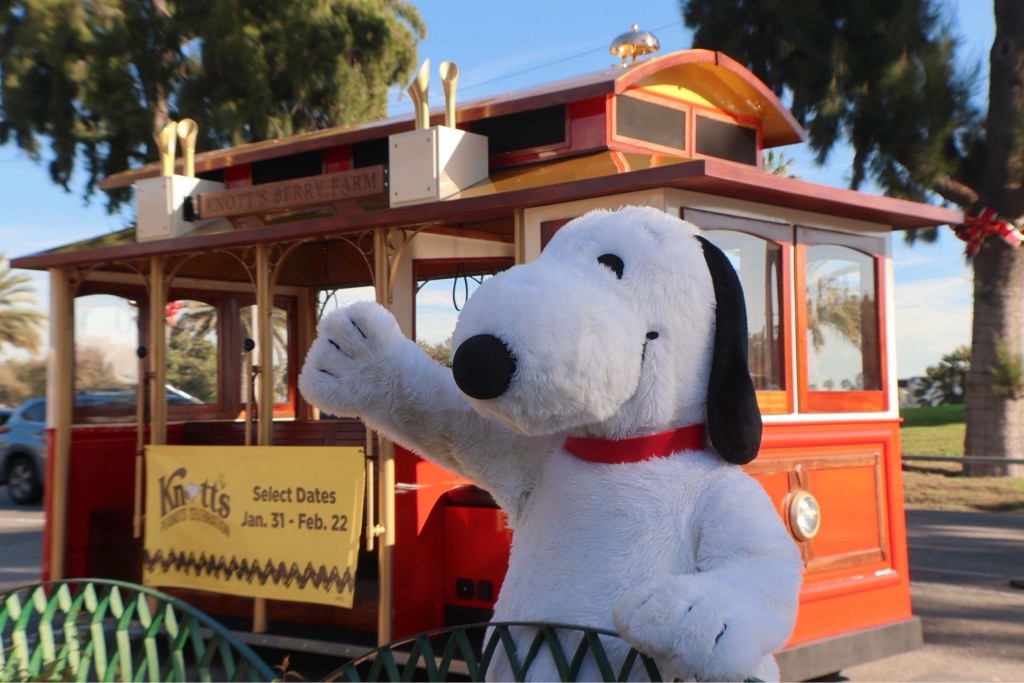 615351512_1278749410970124_5162311419310408369_n