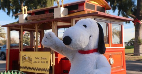 615351512_1278749410970124_5162311419310408369_n